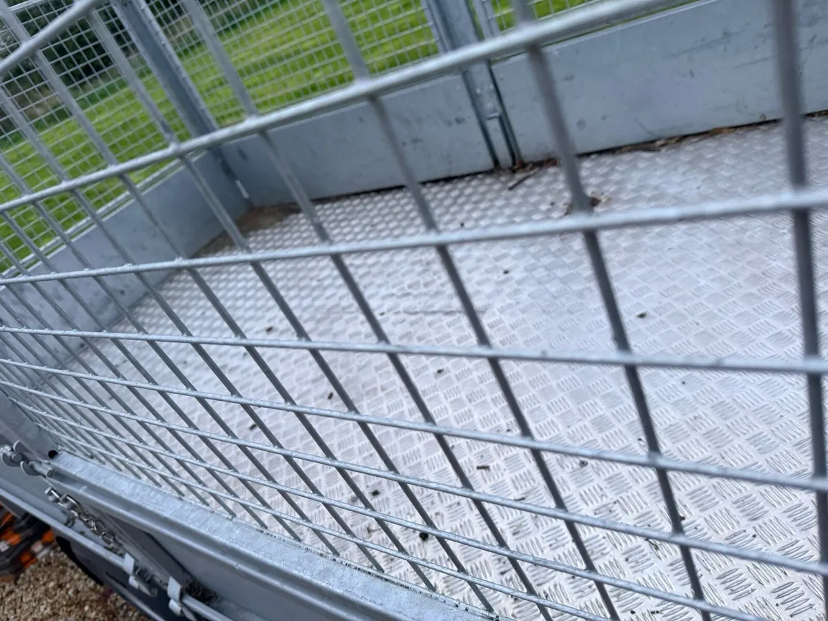 Ivor Williams trailer drop side 10x5 - Image 3