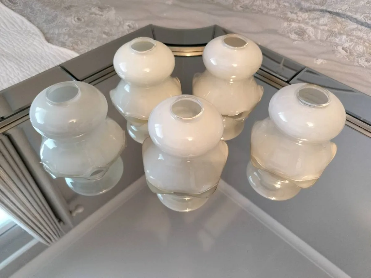 Glass lamp shades - Image 1