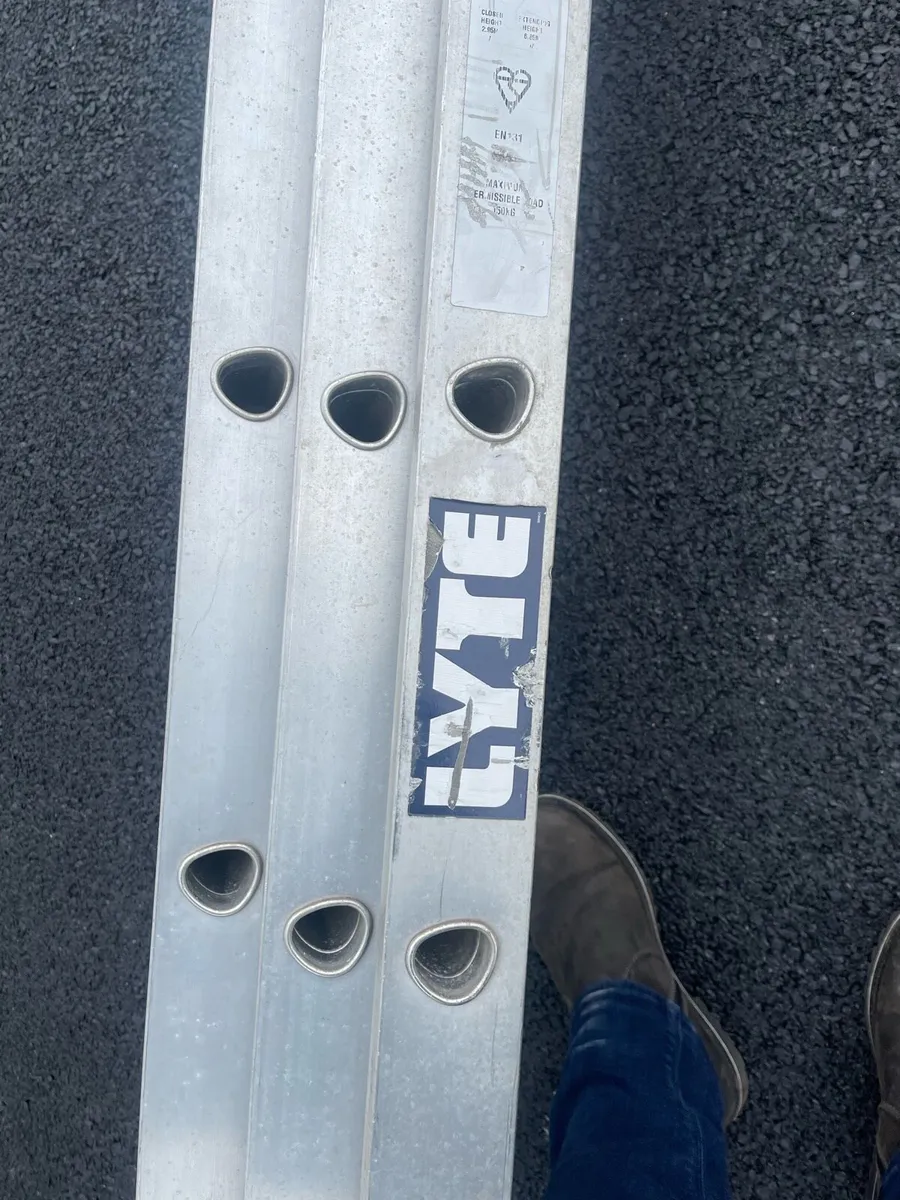 Triple ladder - Image 2