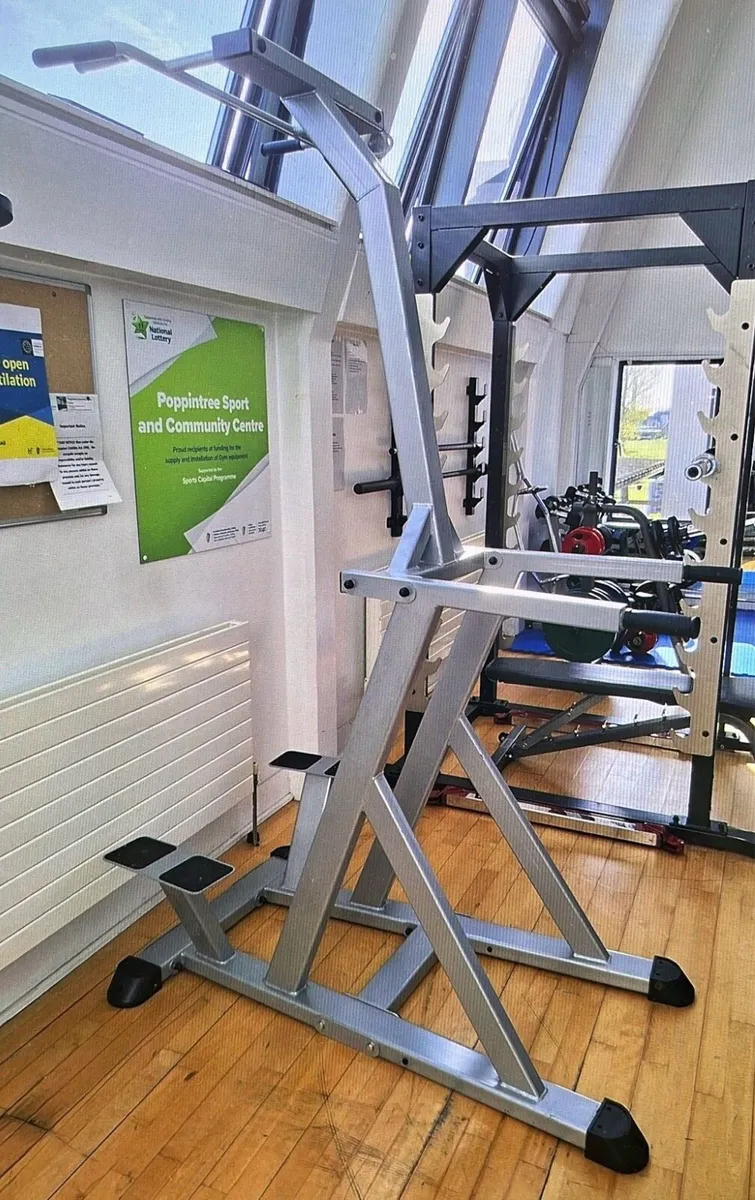 Commercial chin/ dip machine - Image 1