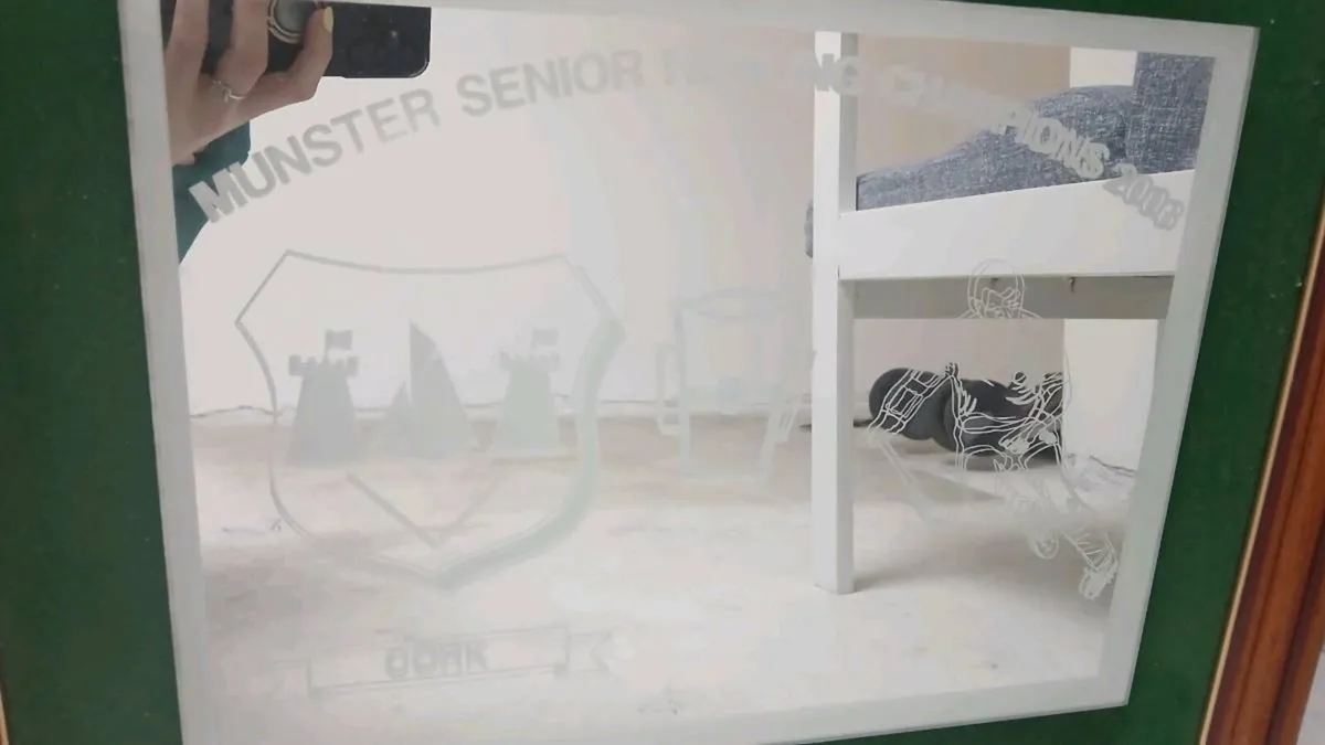 Cork Munster Senior hurling champions 2003 frame - Image 2