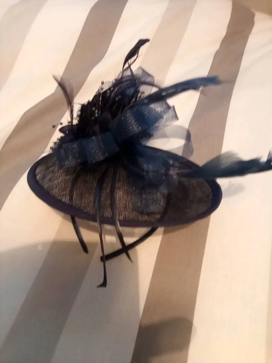 MOTHER  OF. THE. BRIDE. DRESS. AND. FASCINATOR - Image 4