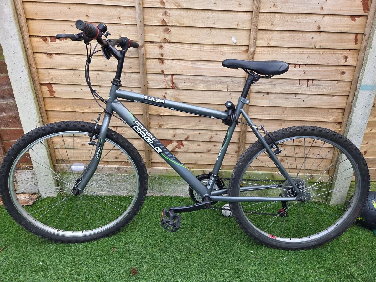 Mens mountain Bike - Image 1