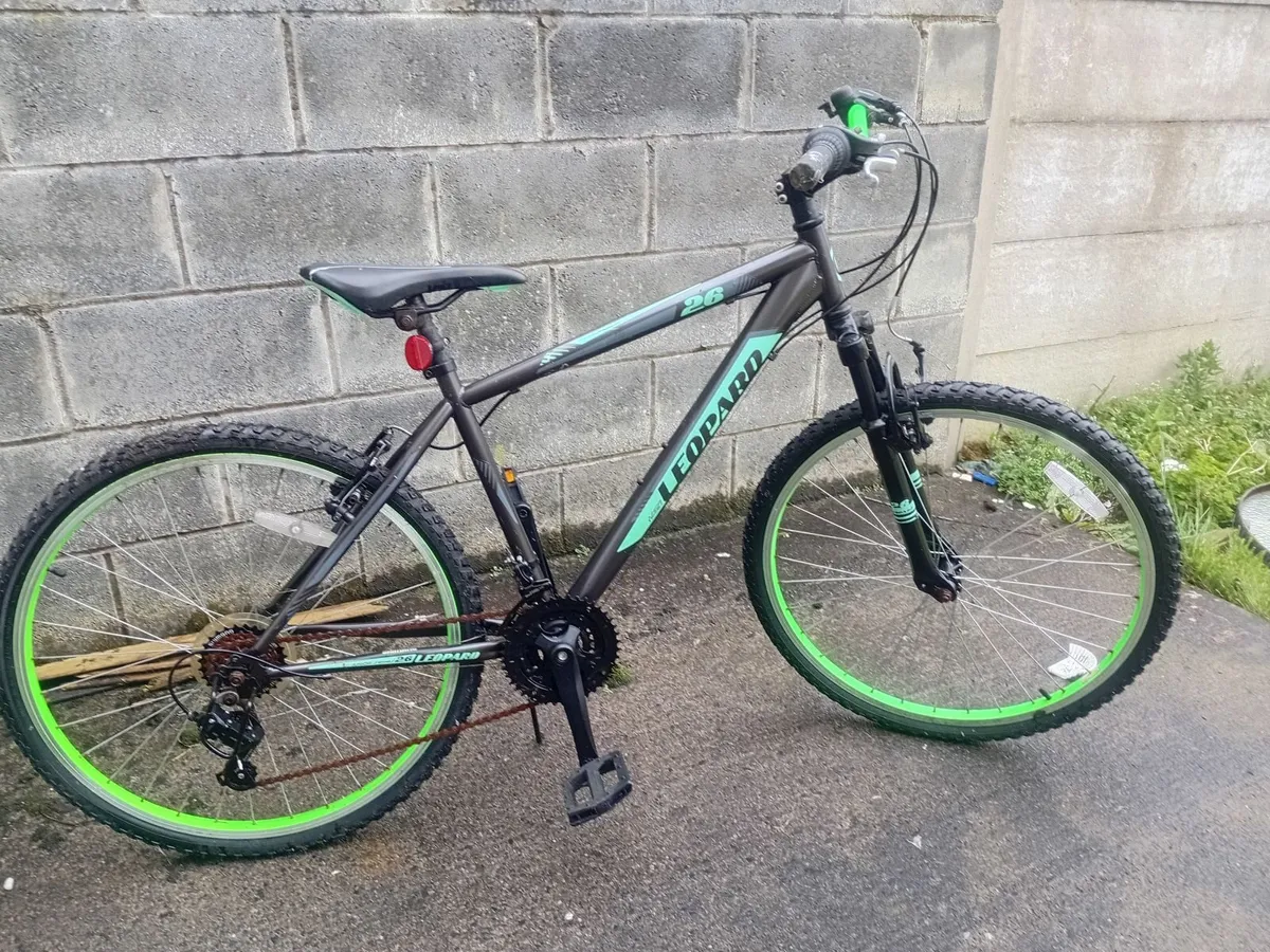 Mountain Bike - Image 1