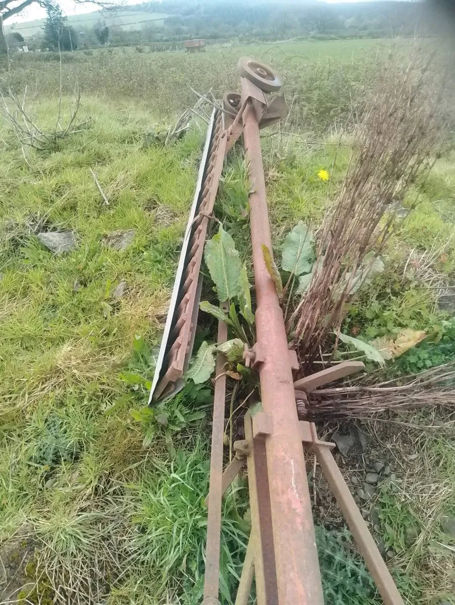 Teagle hedgcutter - Image 2