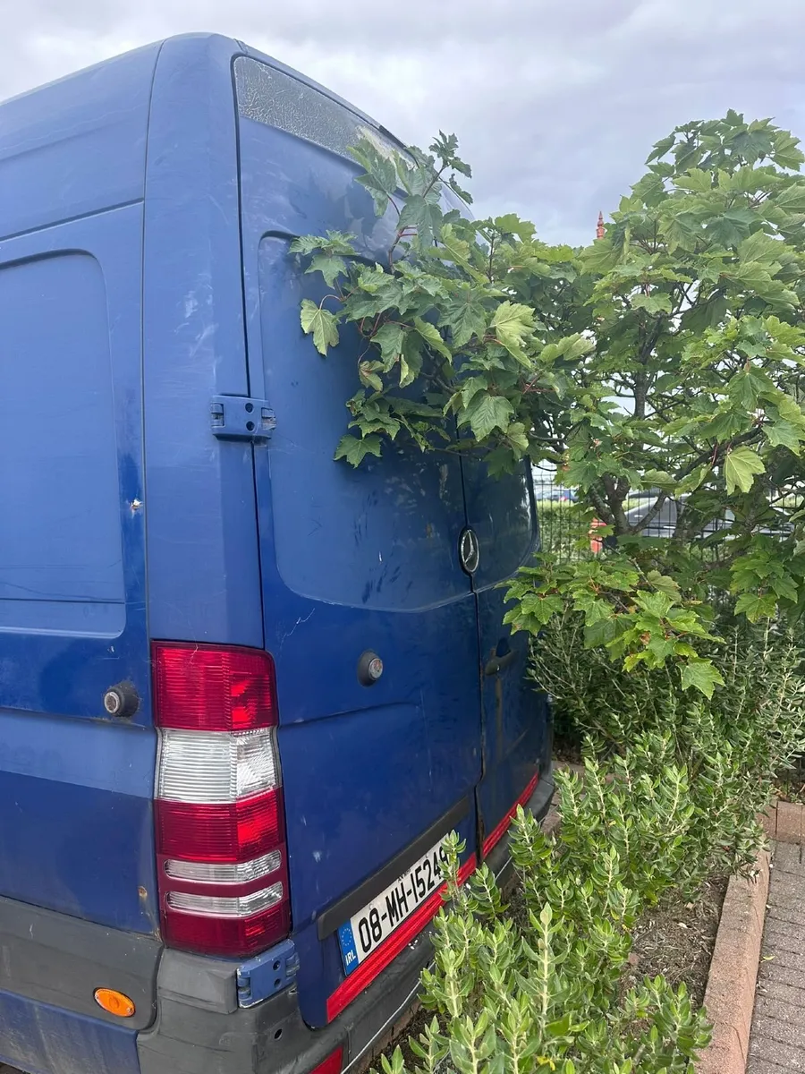 Mercedes-Benz Sprinter 2008 - Image 3