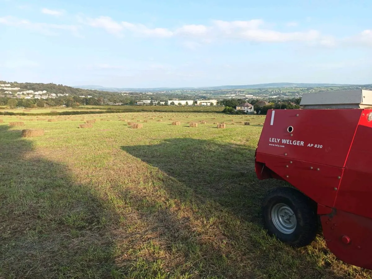 Hay and Silage for sale - Image 2