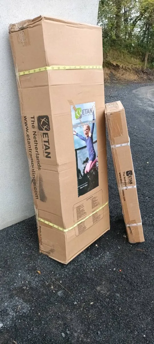 Etan Hi-Flyer Inground trampoline (New) - Image 3