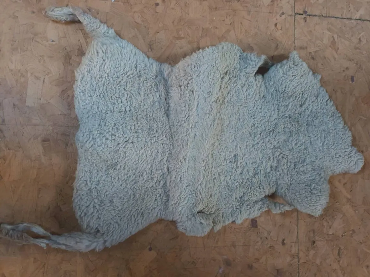Sheep skin floor cover - Image 2