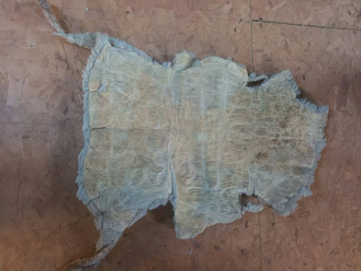 Sheep skin floor cover - Image 3
