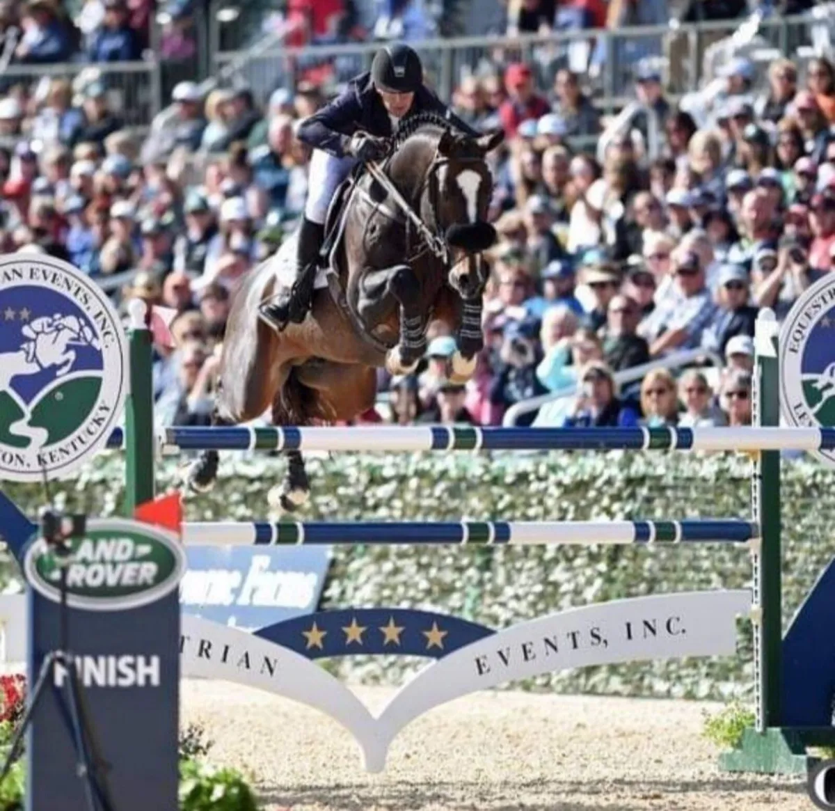 At Stud: ARISTOTELES V - Image 3