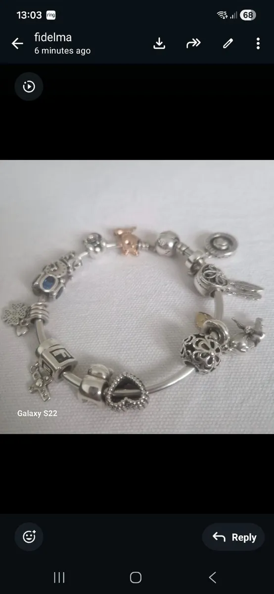 pandora bracelet and charms