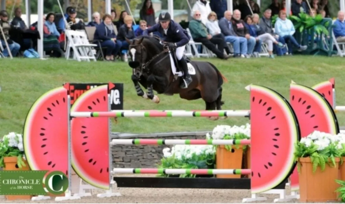 At Stud: ARISTOTELES V - Image 4