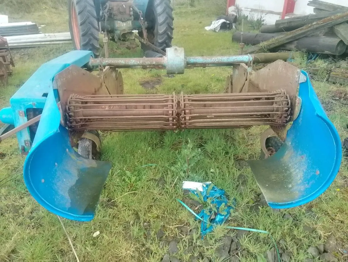 Potatoes digger - Image 1