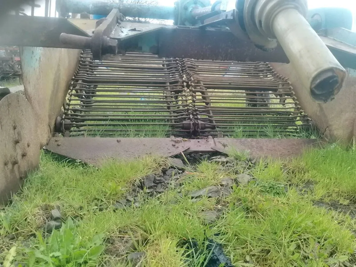 Potatoes digger - Image 2