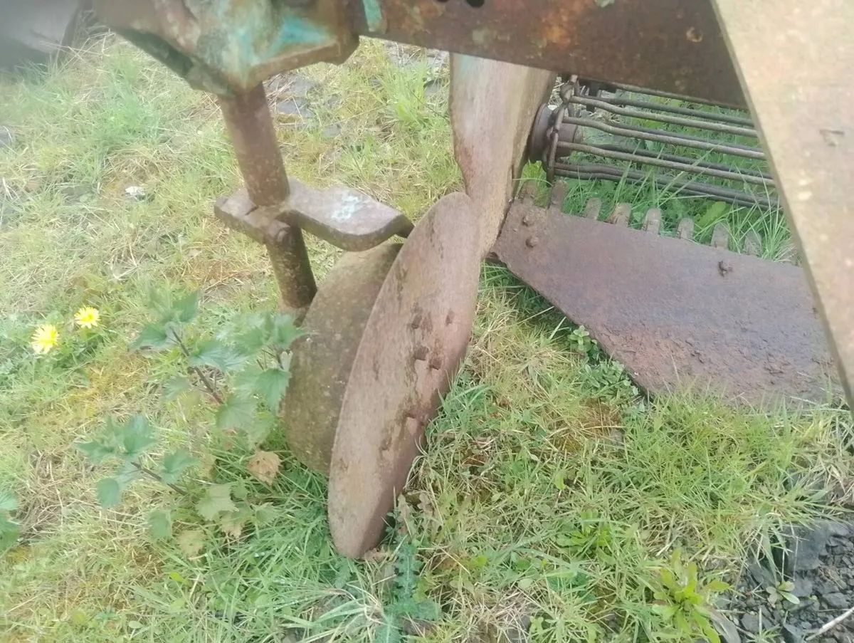 Potatoes digger - Image 3