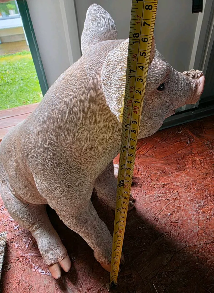 Garden Pig - Image 4