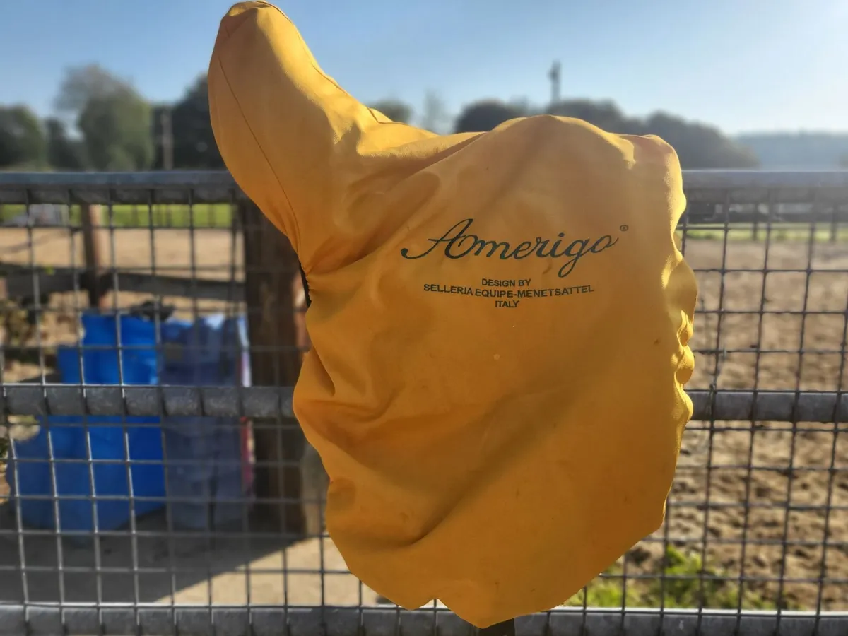 Amerigo Vega Dressage Saddle - Image 3