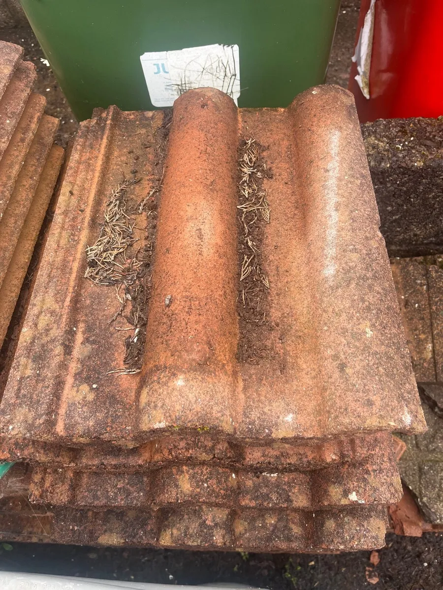 Roof tiles - Image 2
