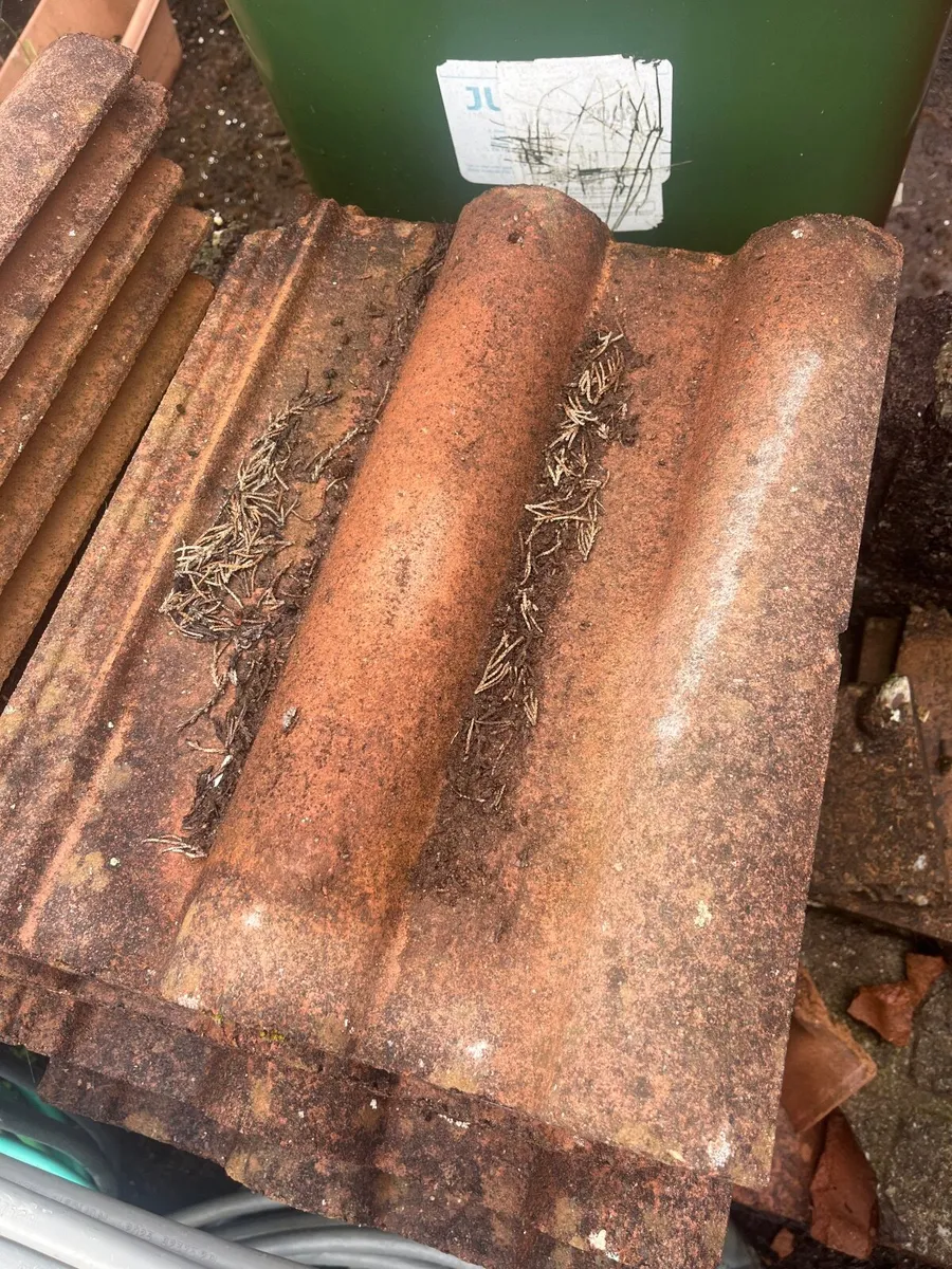Roof tiles - Image 3