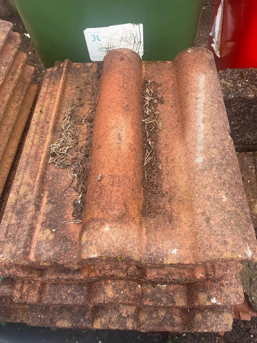 Roof tiles - Image 1