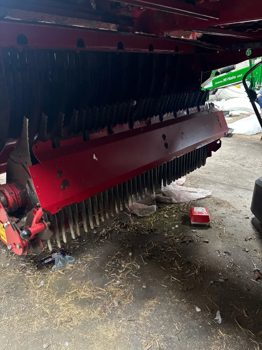 Struatmann silage wagon - Image 4