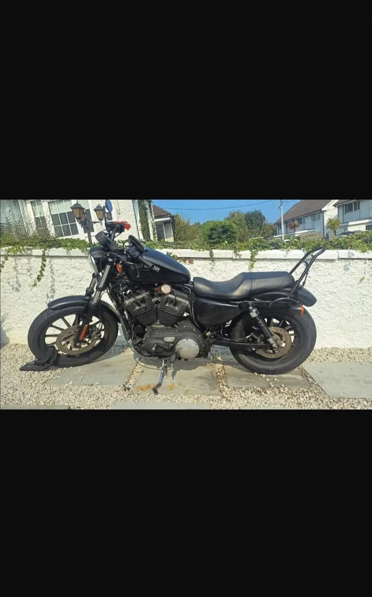 Harley Davidson Sportster XL883 - Image 2