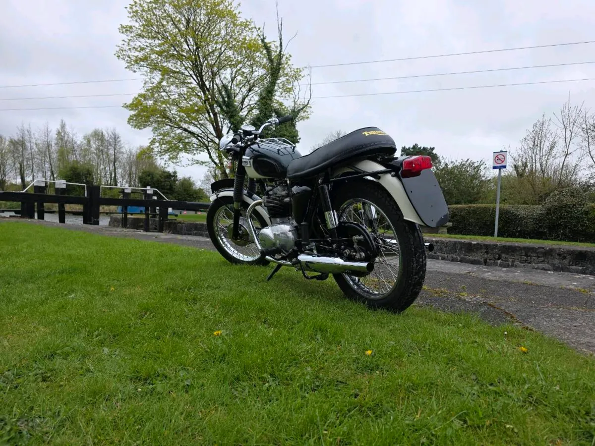 1968 triumph t100p ex. Irish Army - Image 4