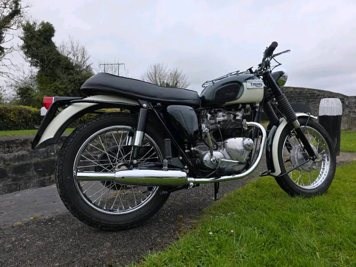 1968 triumph t100p ex. Irish Army - Image 2