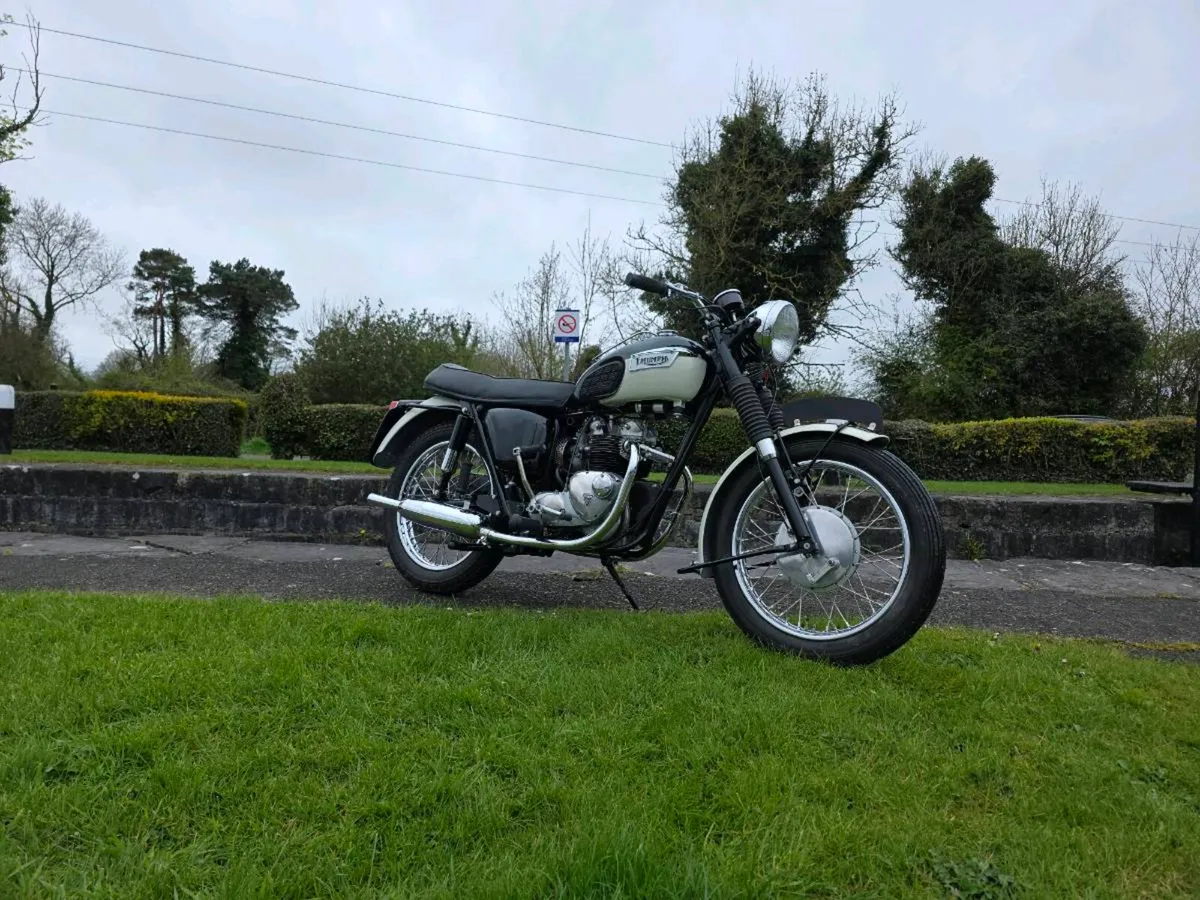 1968 triumph t100p ex. Irish Army - Image 3