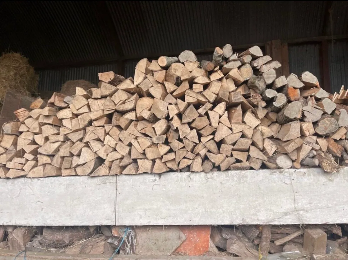Firewood - Image 1