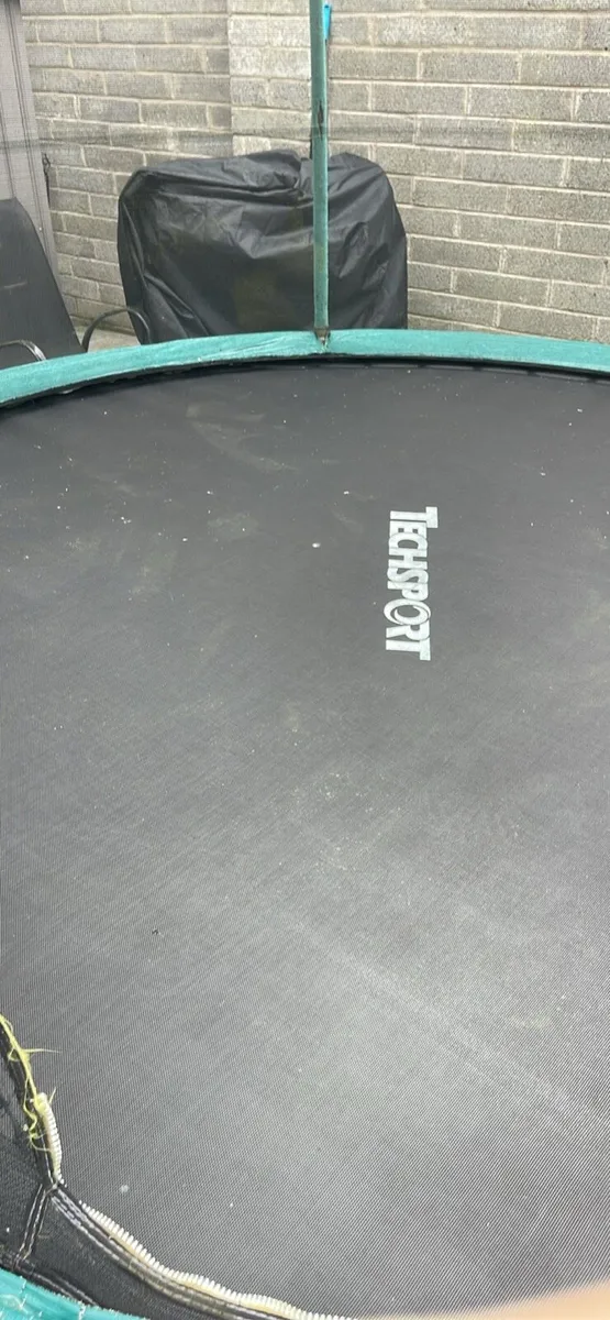 Trampoline - Image 3