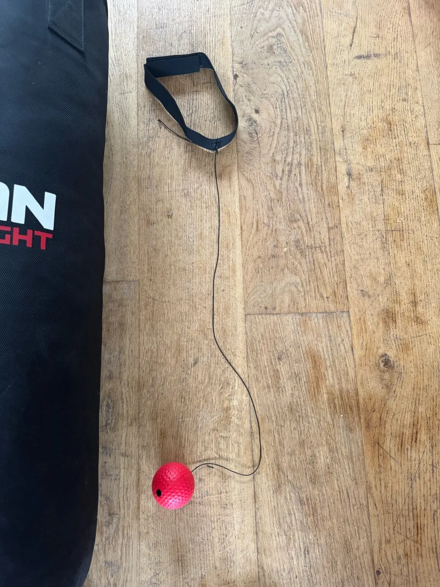 Boxing bag + Wall Bracket + Gloves - home set up - Image 4