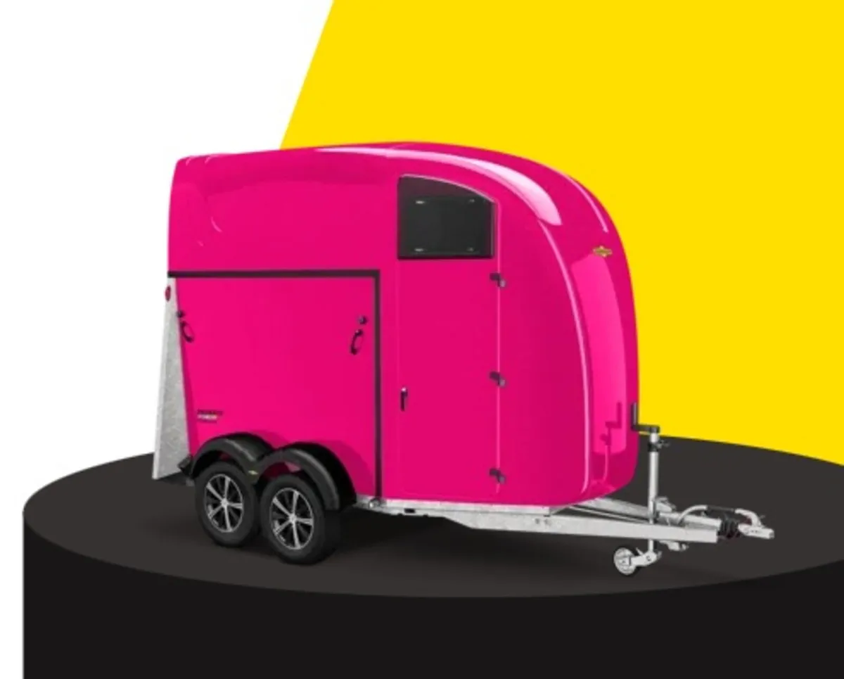 Humbaur Pegasus Horsebox - Image 3