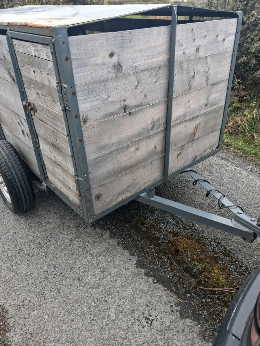 6x4 Sheep / Calf Trailer - Image 3