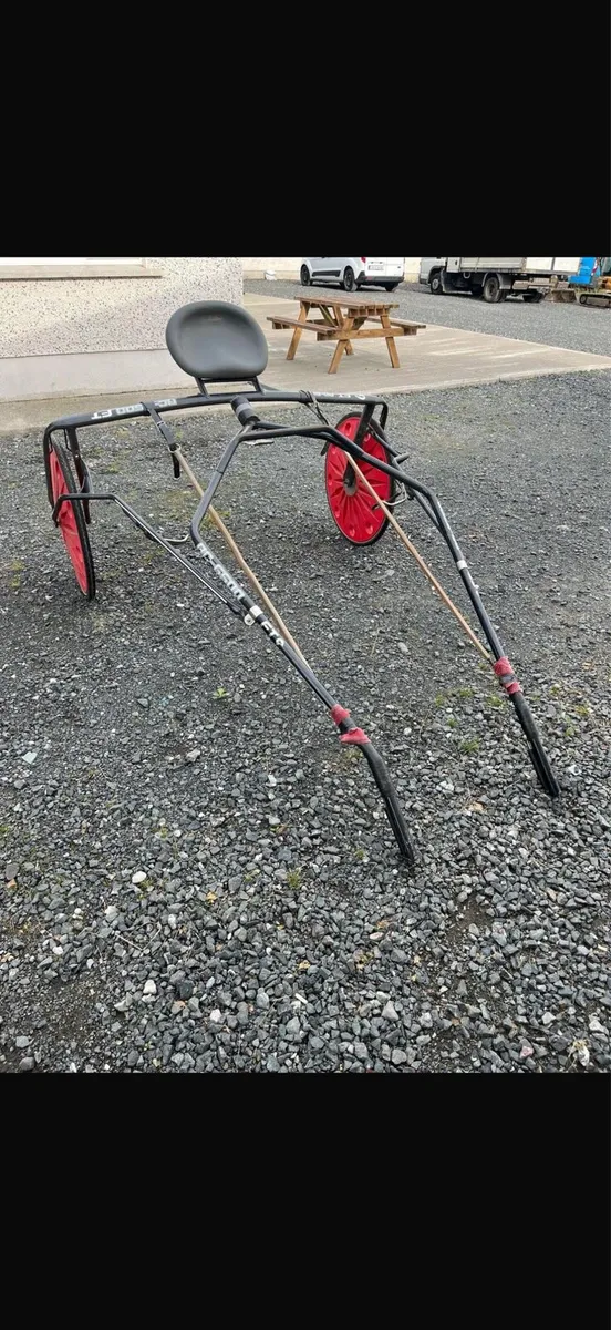 Fintac Race Cart – Good Condition