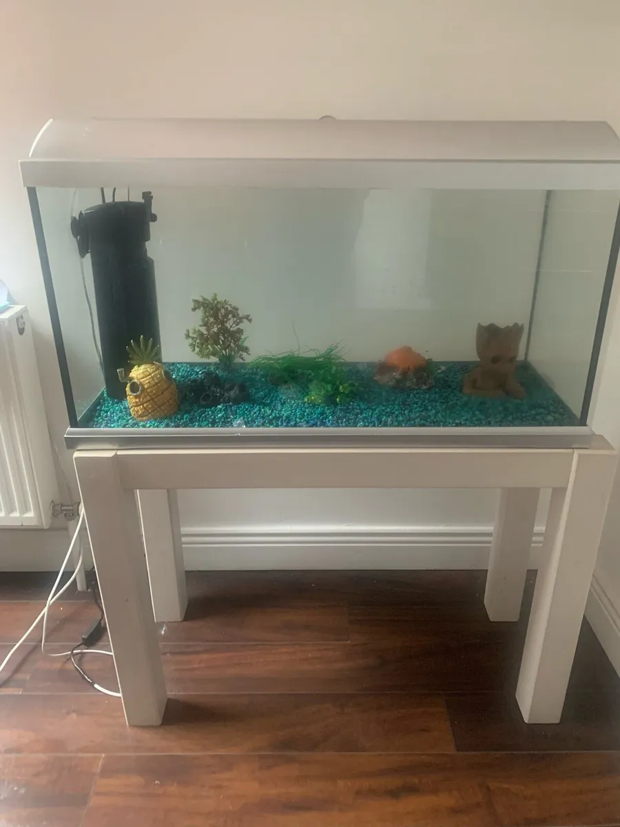 Large fish tank - Image 1