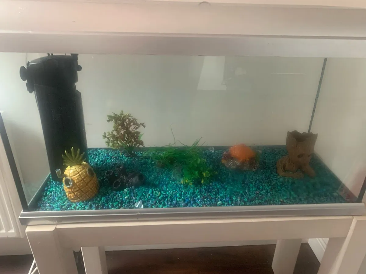 Large fish tank - Image 2