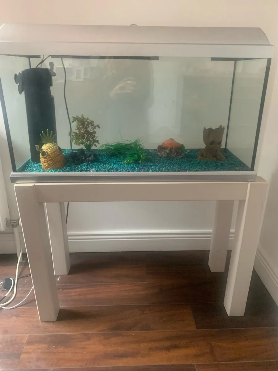 Large fish tank - Image 3
