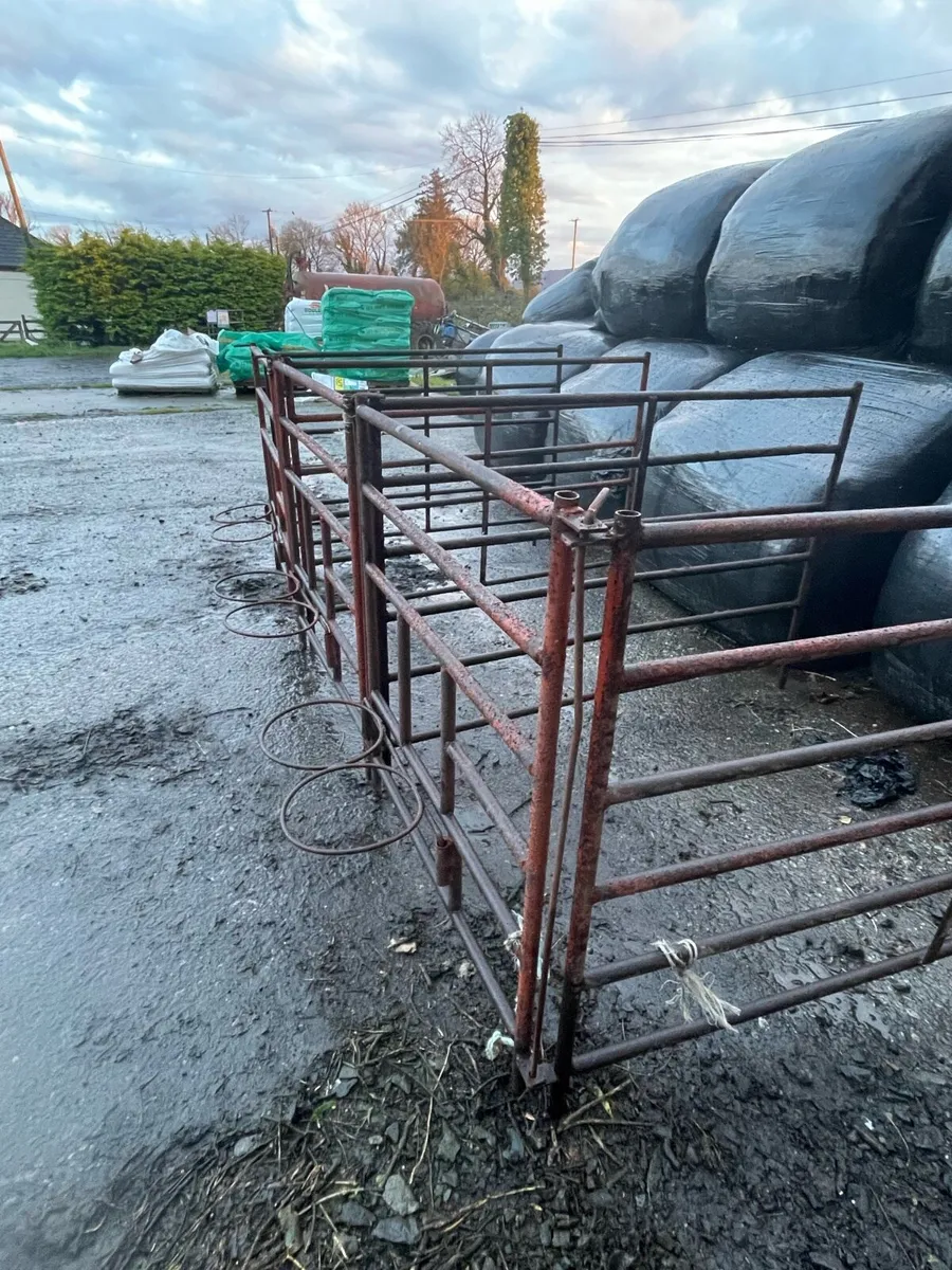 Calf pens - Image 3