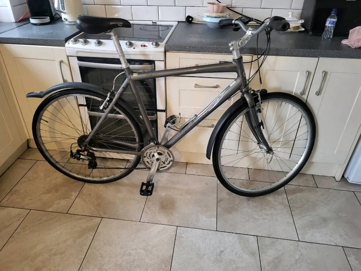 Xl mens giant bike(ON HOLD) - Image 1