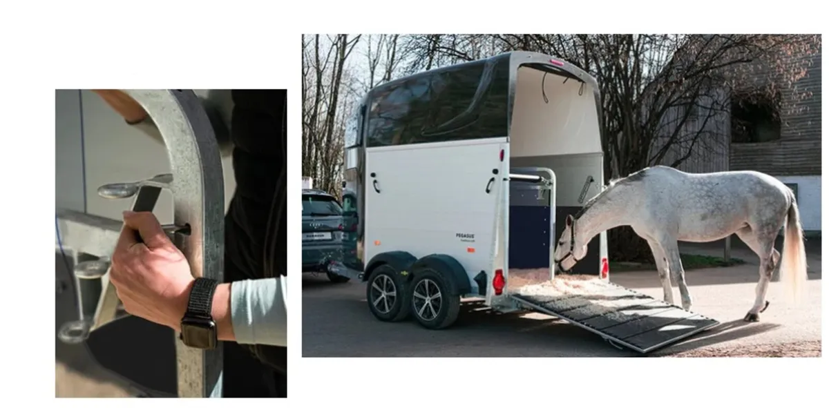 Humbaur Pegasus Horsebox - Image 4