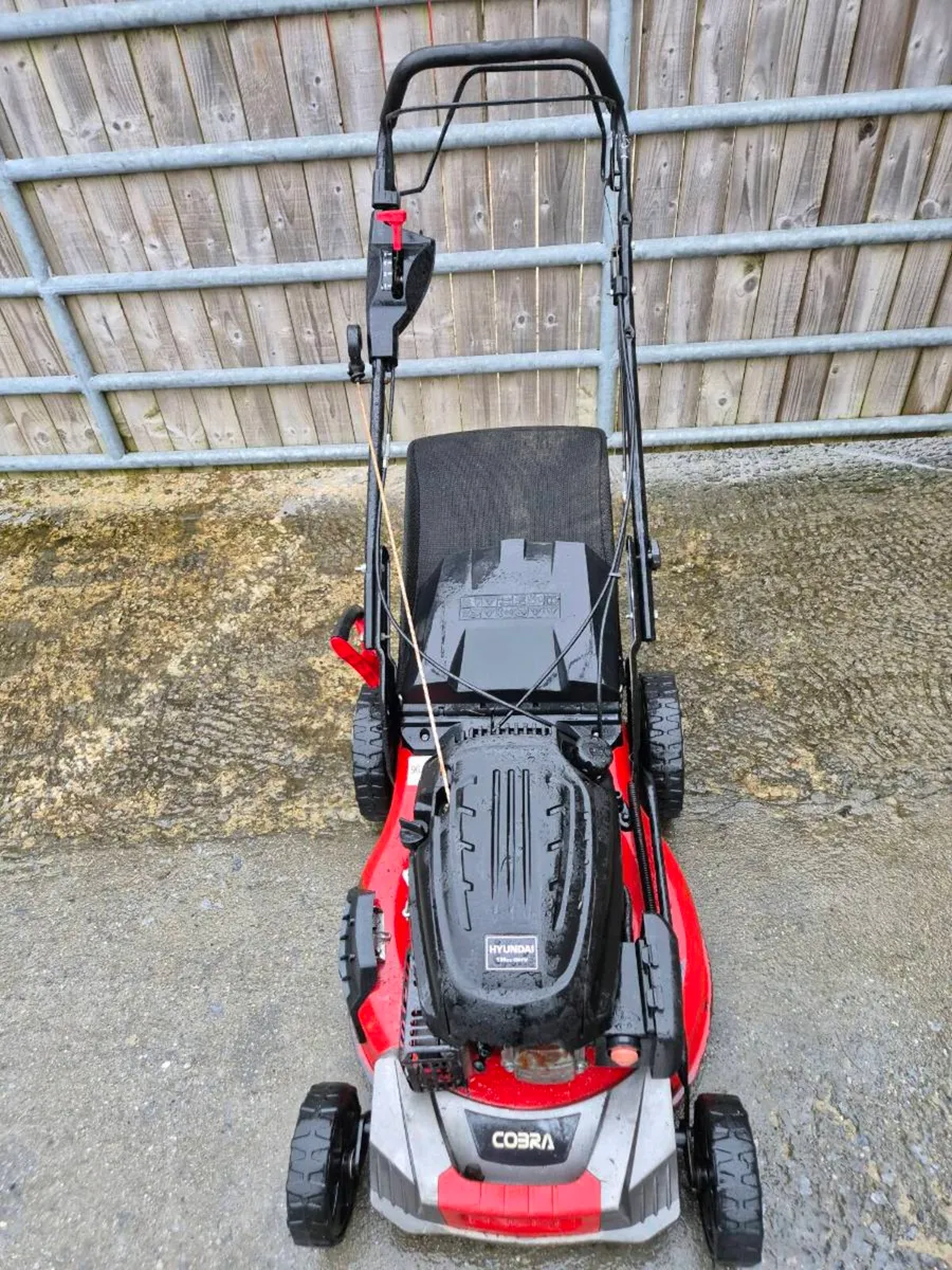 Cobra self Drive lawnmower - Image 1