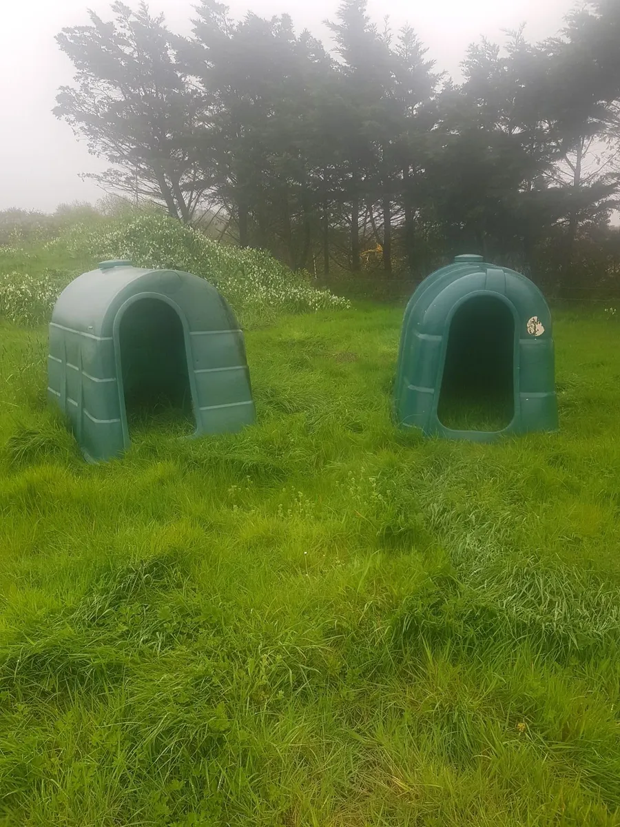 Animal shelter - Image 2