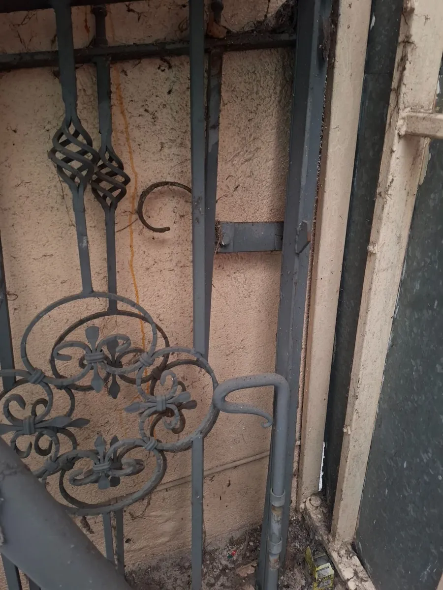 Metal Garden gates FREE - Image 3