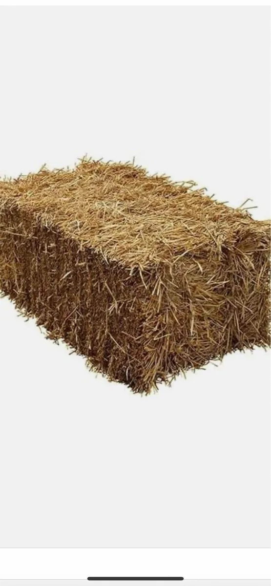 Barley straw