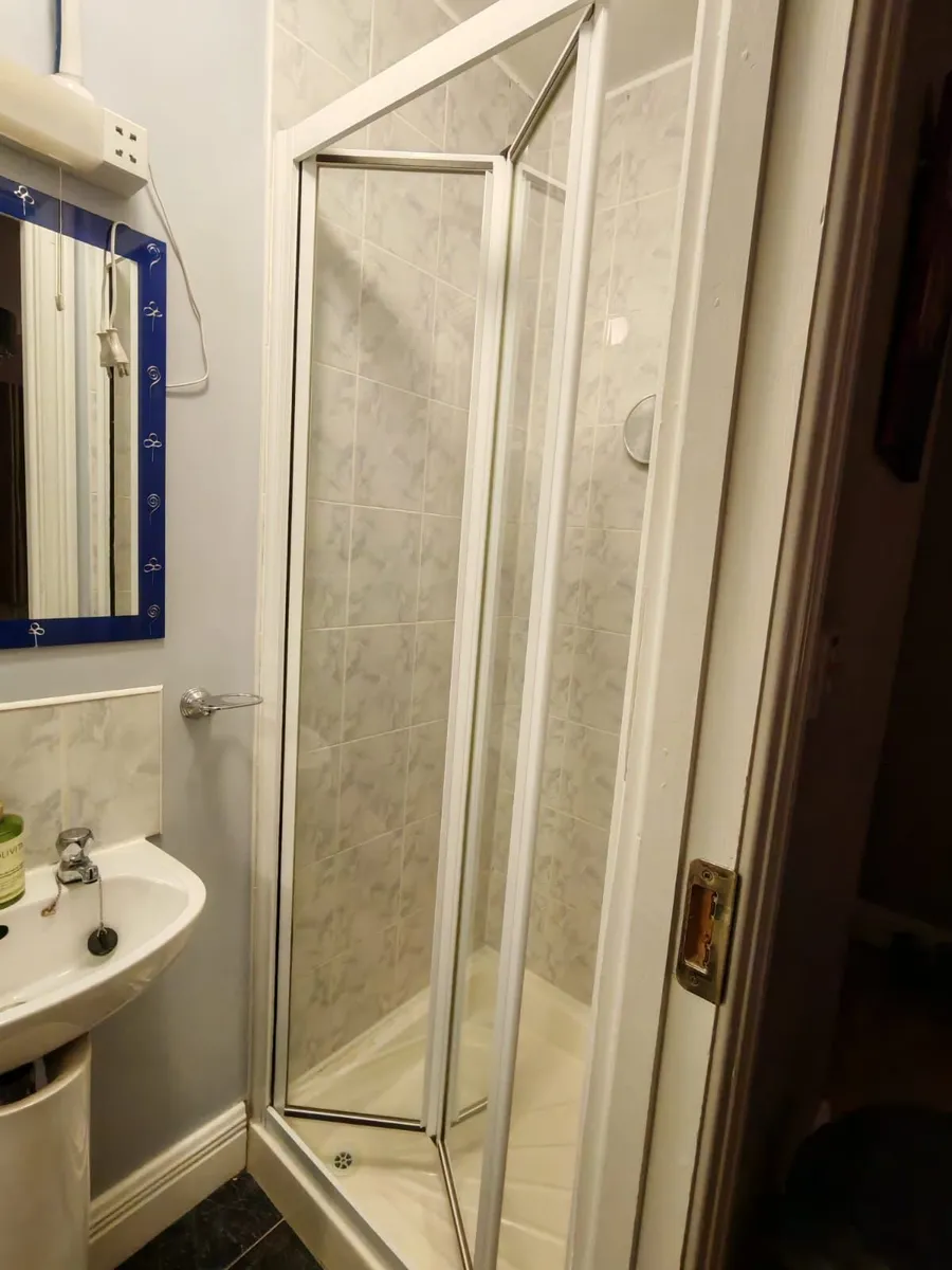 Shower door - Image 2