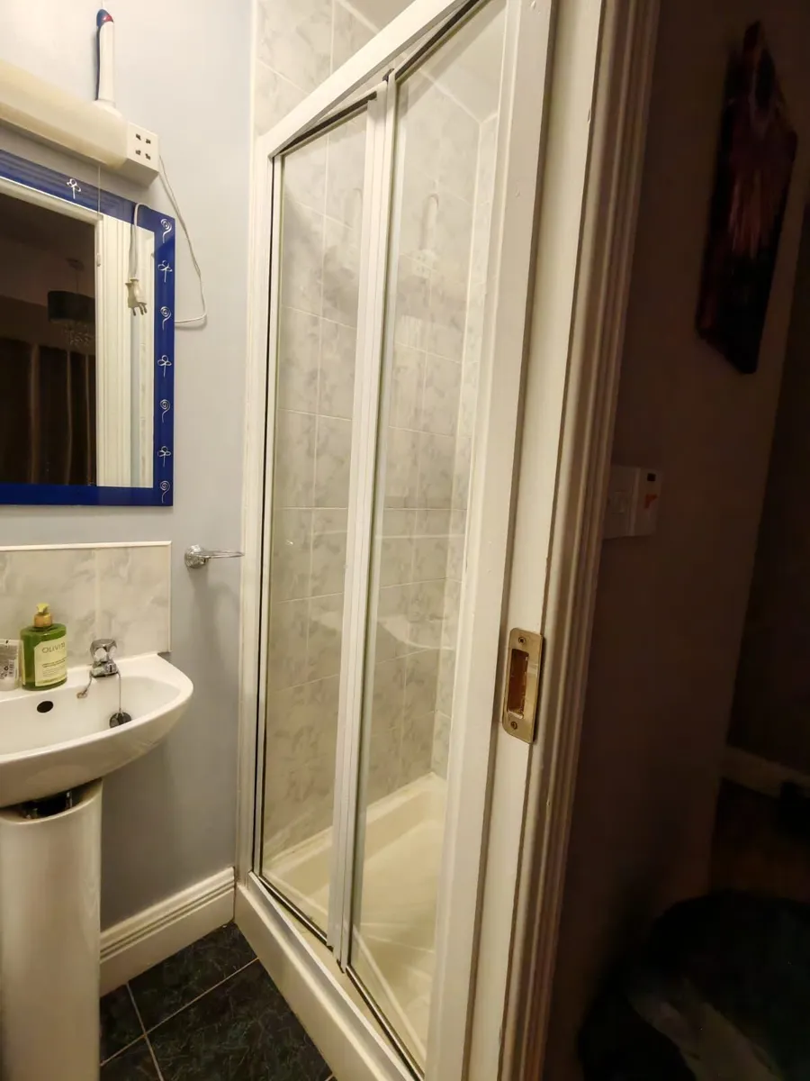 Shower door - Image 1