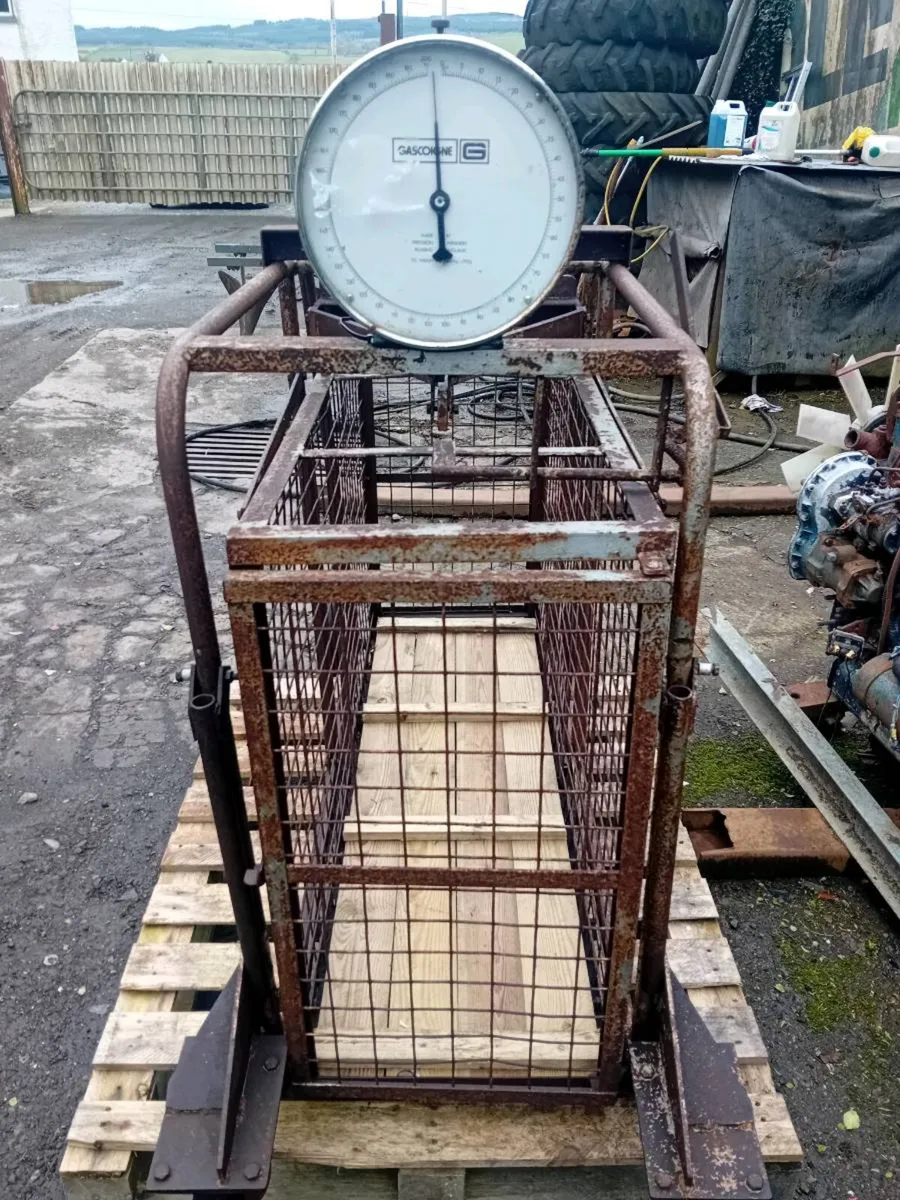 Lamb Weighbridge - Image 1
