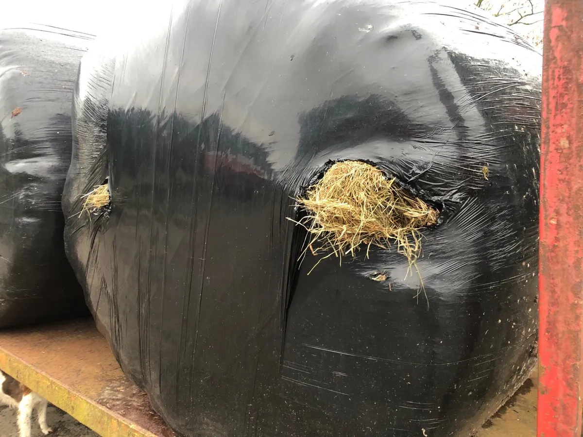 Silage/Haylage for sale in Cork for €40 on DoneDeal